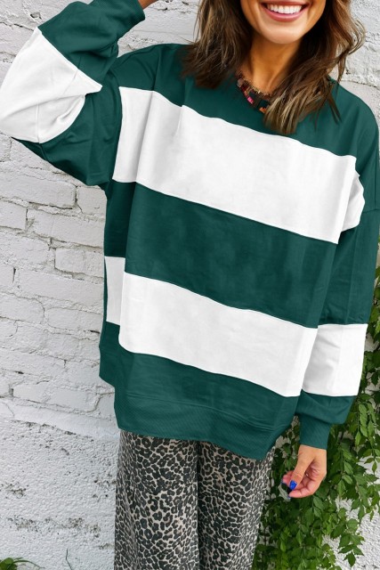 Evergreen Colorblock Drop Shoulder Baggy Sweatshirt LC25320034-P2509